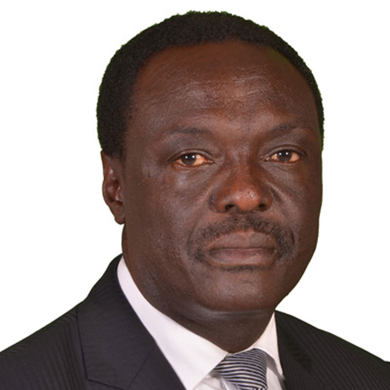 Prof. Ludeki Chweya